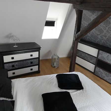 Appart Chaleureux Colmar Exteriér fotografie