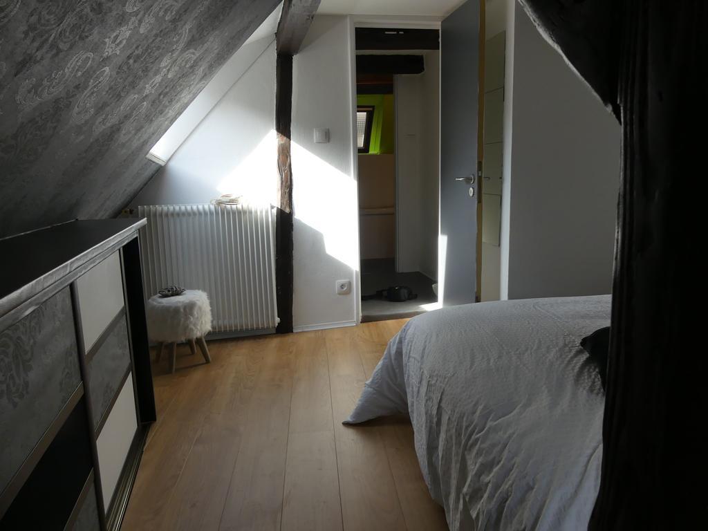 Appart Chaleureux Colmar Exteriér fotografie